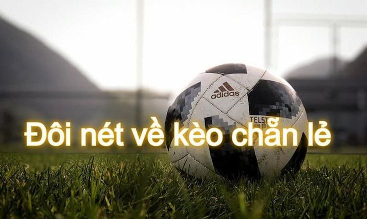 Khái niệm Kèo chẵn lẻ